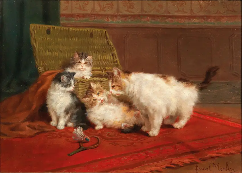 Cats by Daniel Merlin